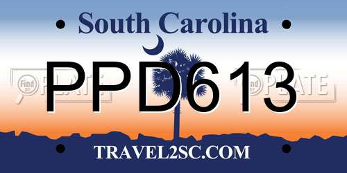 PPD613 South Carolina License Plate