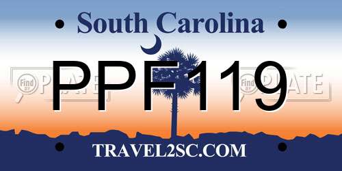 PPF119 South Carolina License Plate