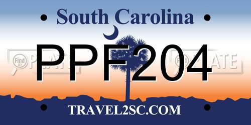 PPF204 South Carolina License Plate