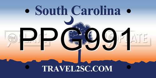 PPG991 South Carolina License Plate