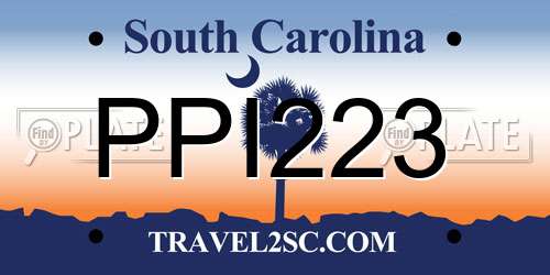 PPI223 South Carolina License Plate