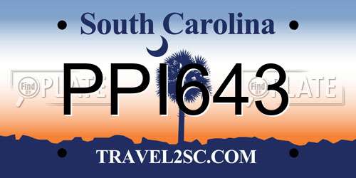 PPI643 South Carolina License Plate