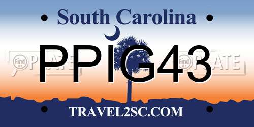 PPIG43 South Carolina License Plate