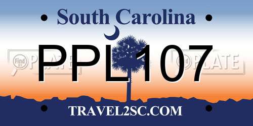 PPL107 South Carolina License Plate