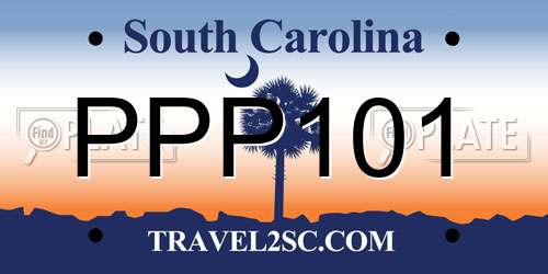 PPP101 South Carolina License Plate
