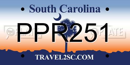 PPR251 South Carolina License Plate