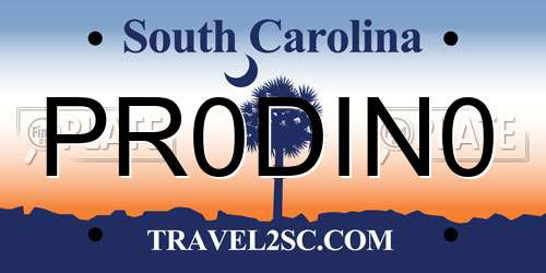 PR0DIN0 South Carolina License Plate