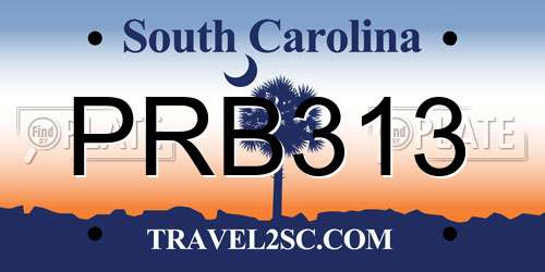 PRB313 South Carolina License Plate