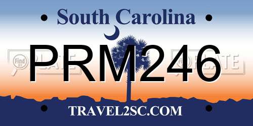PRM246 South Carolina License Plate