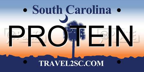 PROTEIN South Carolina License Plate