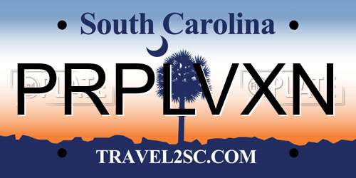 PRPLVXN South Carolina License Plate