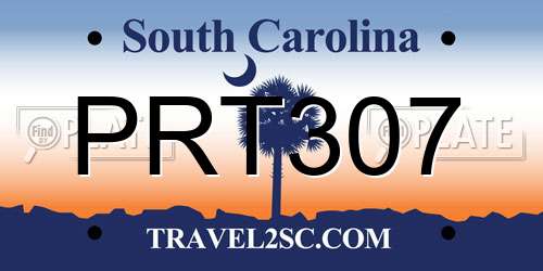 PRT307 South Carolina License Plate