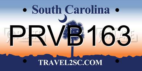 PRVB163 South Carolina License Plate