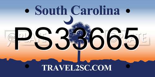 PS33665 South Carolina License Plate