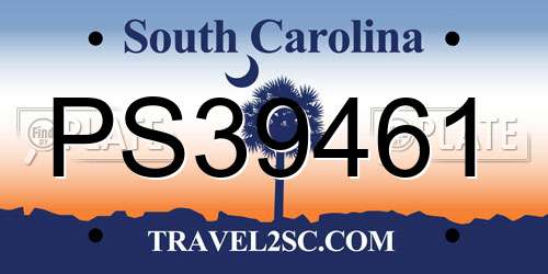 PS39461 South Carolina License Plate
