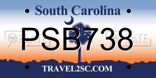 PSB738 South Carolina License Plate
