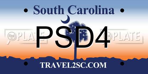 PSD4 South Carolina License Plate
