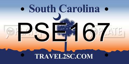 PSE167 South Carolina License Plate