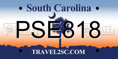 PSE818 South Carolina License Plate