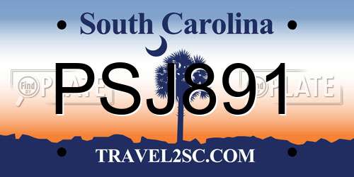 PSJ891 South Carolina License Plate