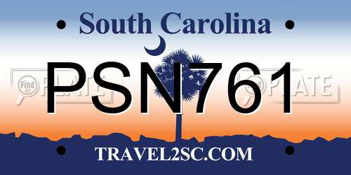PSN761 South Carolina License Plate
