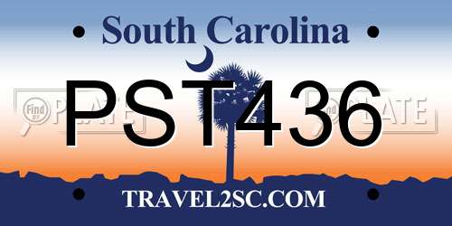PST436 South Carolina License Plate
