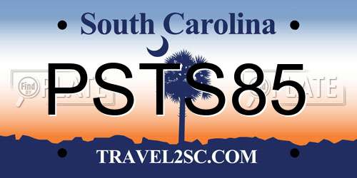 PSTS85 South Carolina License Plate