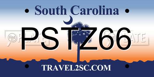 PSTZ66 South Carolina License Plate
