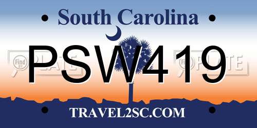 PSW419 South Carolina License Plate