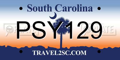 PSY129 South Carolina License Plate