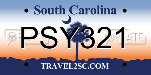 PSY321 South Carolina License Plate