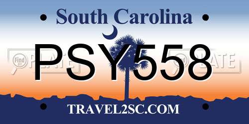 PSY558 South Carolina License Plate