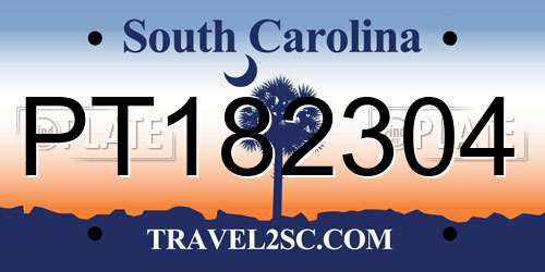 PT182304 South Carolina License Plate