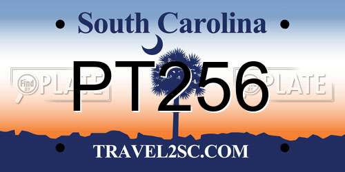 PT256 South Carolina License Plate
