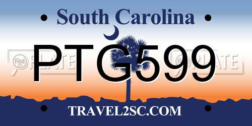 PTG599 South Carolina License Plate