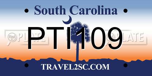 PTI109 South Carolina License Plate