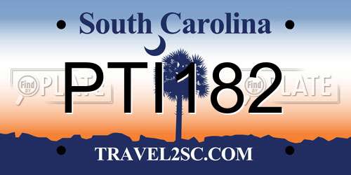 PTI182 South Carolina License Plate