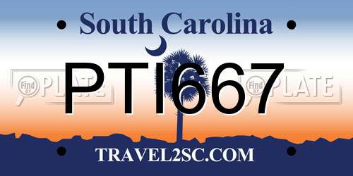 PTI667 South Carolina License Plate