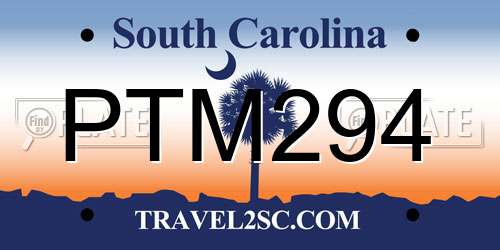 PTM294 South Carolina License Plate