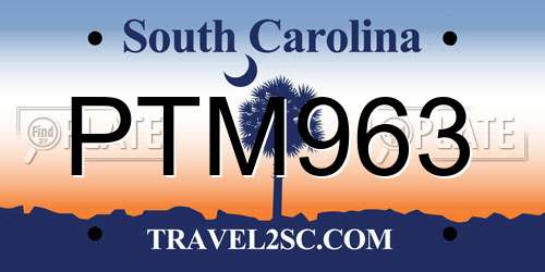 PTM963 South Carolina License Plate