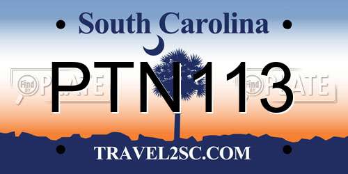 PTN113 South Carolina License Plate