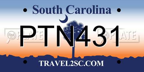 PTN431 South Carolina License Plate