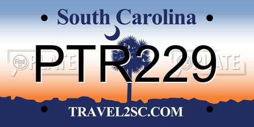 PTR229 South Carolina License Plate