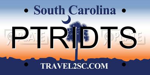 PTRIDTS South Carolina License Plate