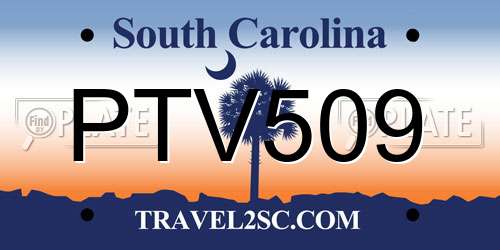 PTV509 South Carolina License Plate