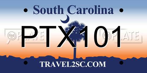 PTX101 South Carolina License Plate
