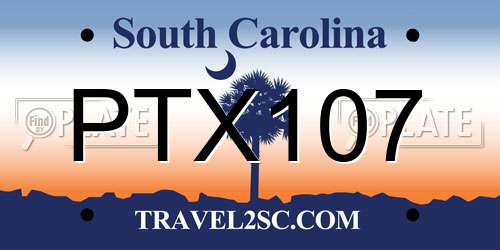 PTX107 South Carolina License Plate