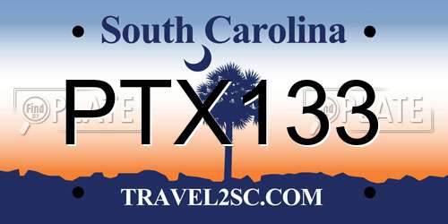 PTX133 South Carolina License Plate