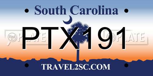 PTX191 South Carolina License Plate