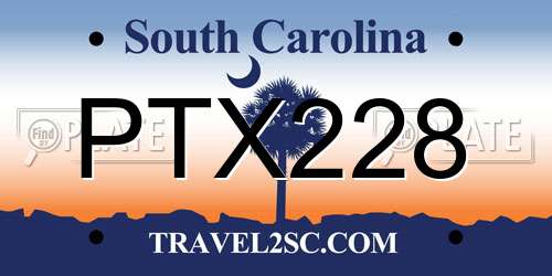 PTX228 South Carolina License Plate
